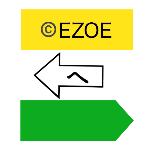 The Ezoe Method